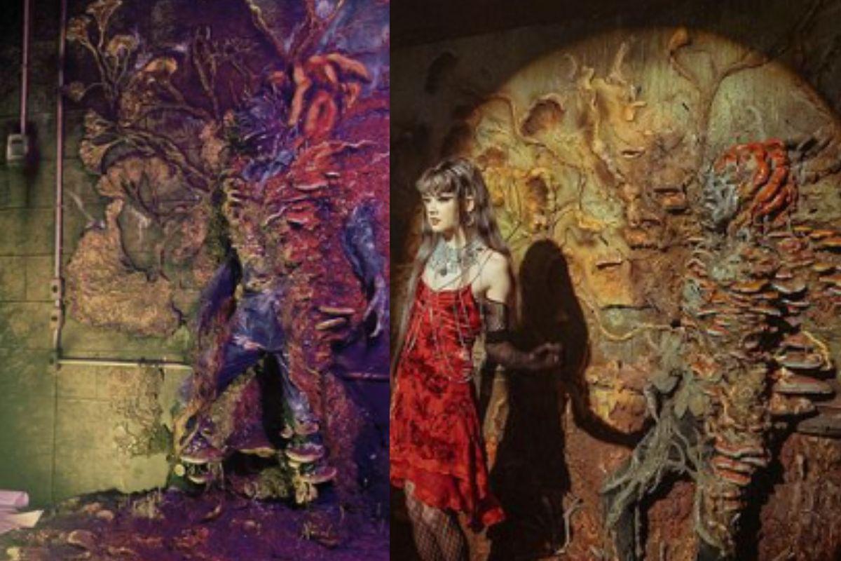 Fungo zumbi de série é real e existe no Brasil