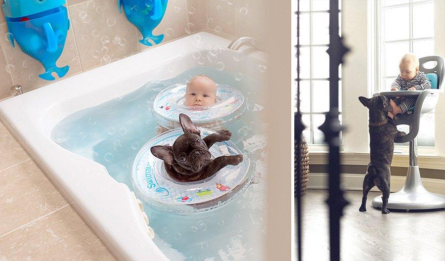 amizade-bebe-bulldog-05