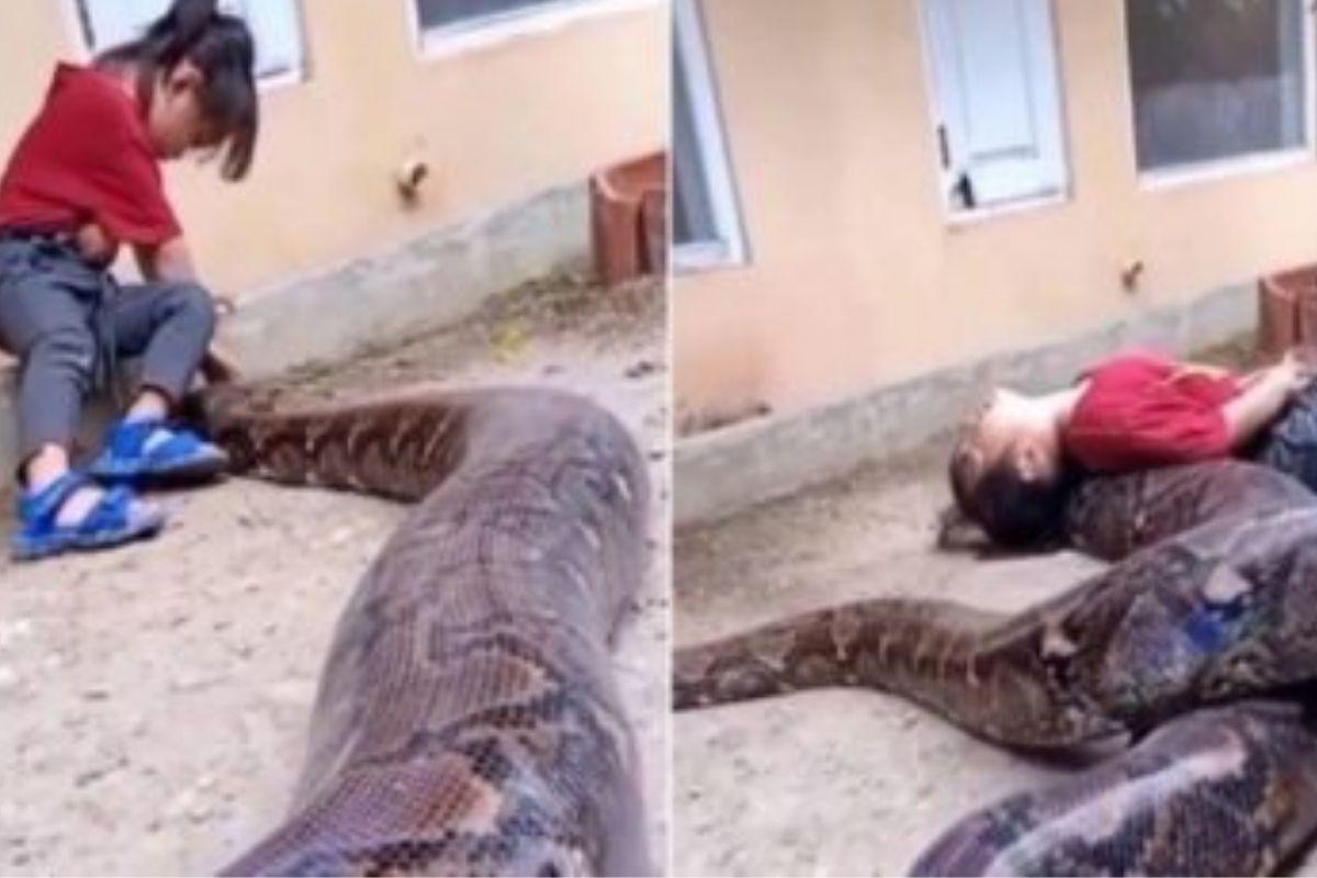 O vídeo é impressionante!