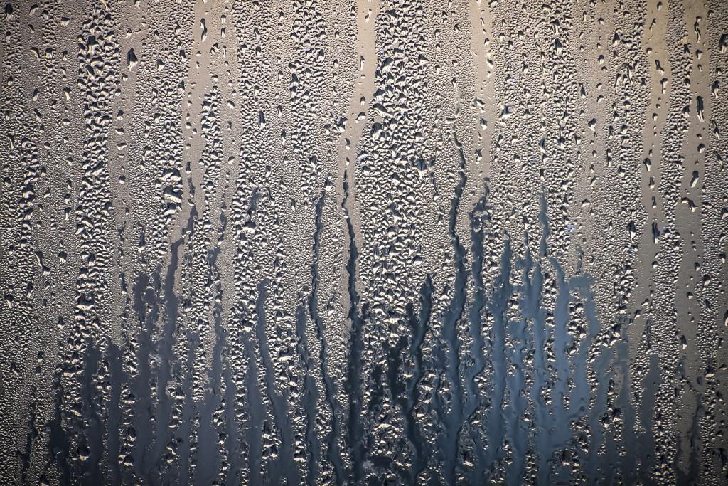 shutterstock_262417460