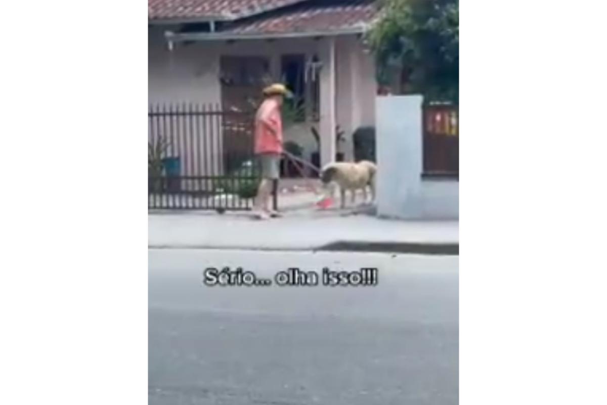 Cachorro ajuda dono na limpeza
