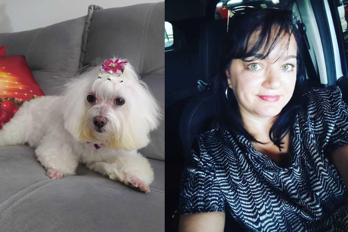 Uma cachorra só aceitou sair com a dona depois dela colocar a máscara em vídeo no Instagram