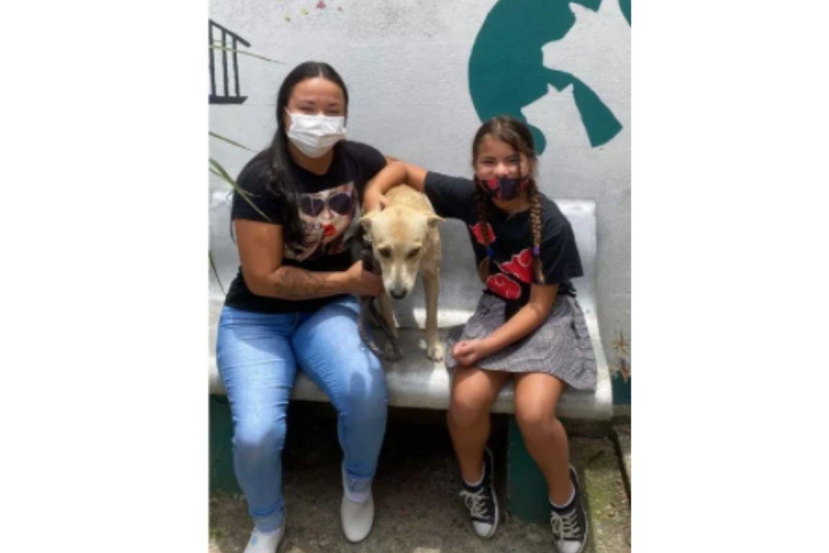 Cachorro que esperou dono em frente ao hospital reencontra família antiga