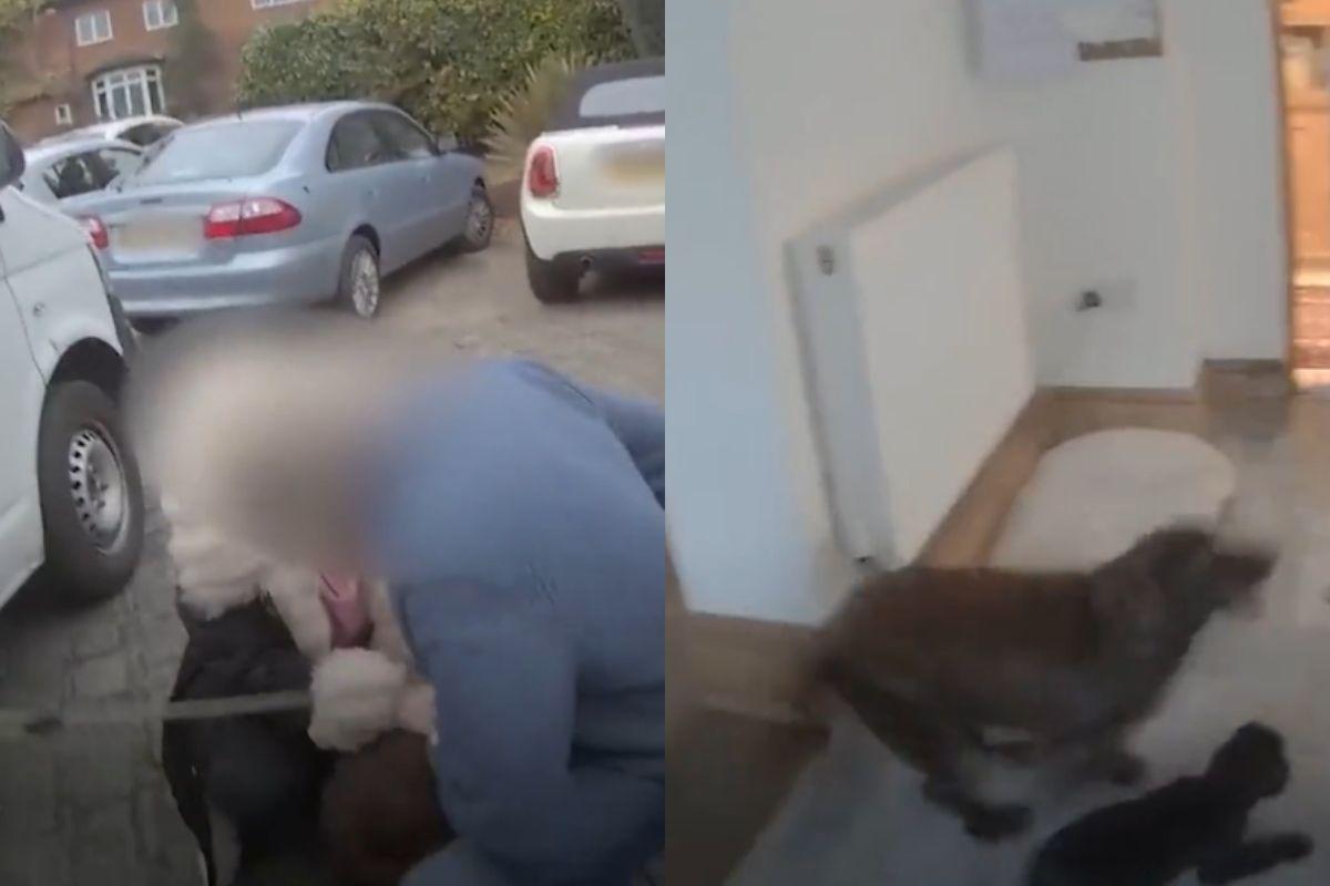 Cachorra foi devolvida para os donos 8 anos após ter sido sequestrada