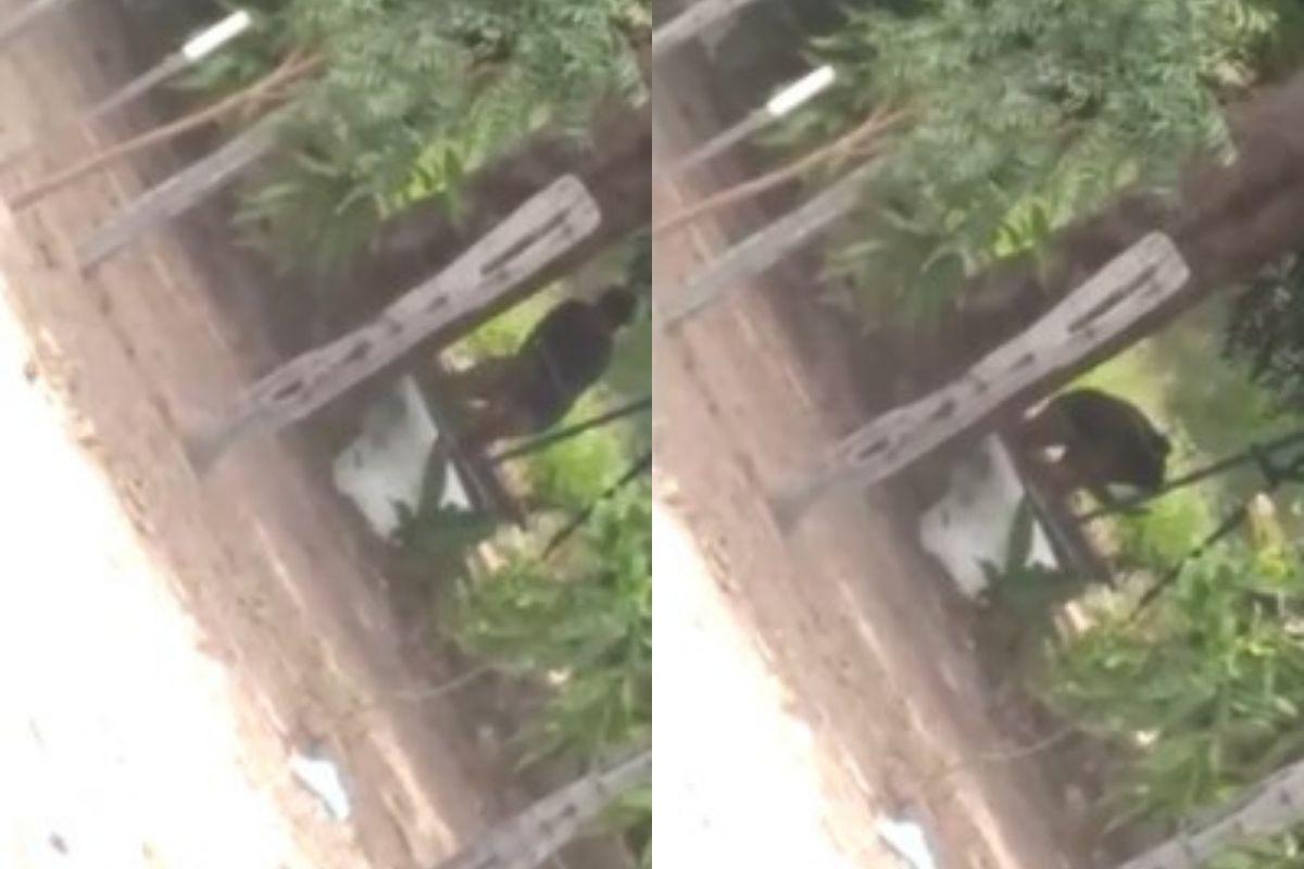 A mulher foi flagrada agredindo brutalmente o filho de 8 anos