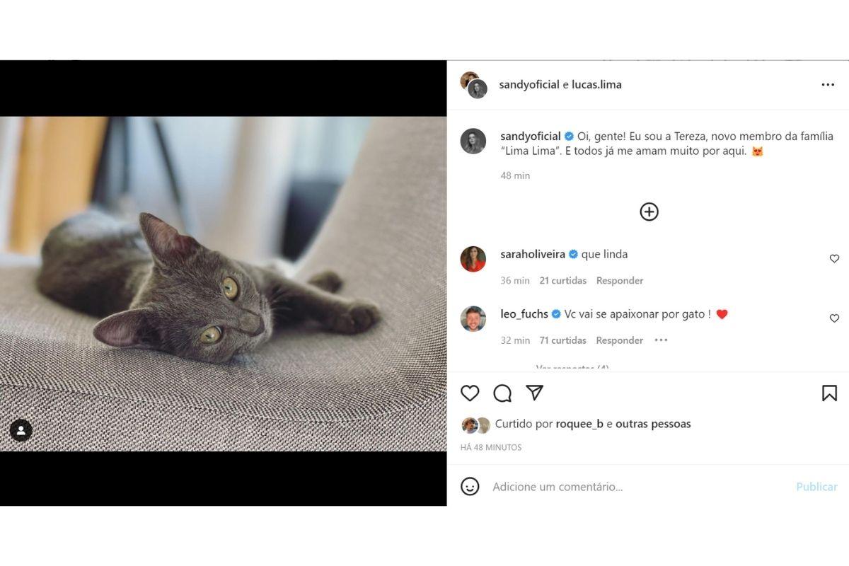 Sandy e Lucas Lima apresentaram Tereza como o novo membro da família 'Lima Lima'