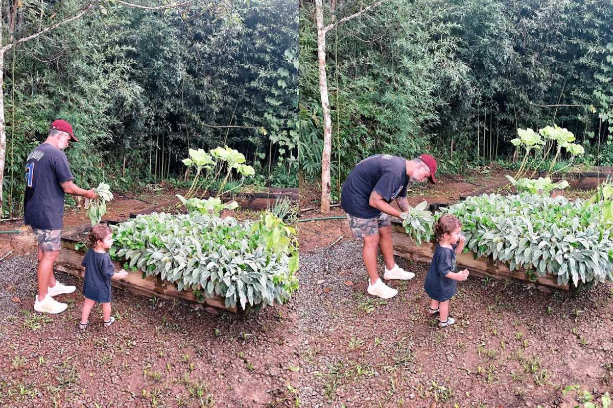 Zyan apareceu fazendo a primeira colheita ao lado de Bruno Gagliasso