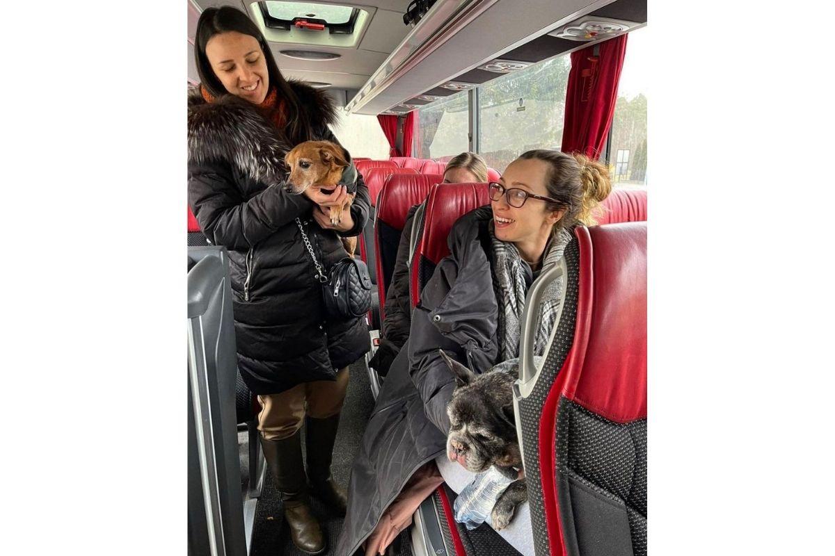 Vanessa vai conseguir trazer o cachorro para o Brasil