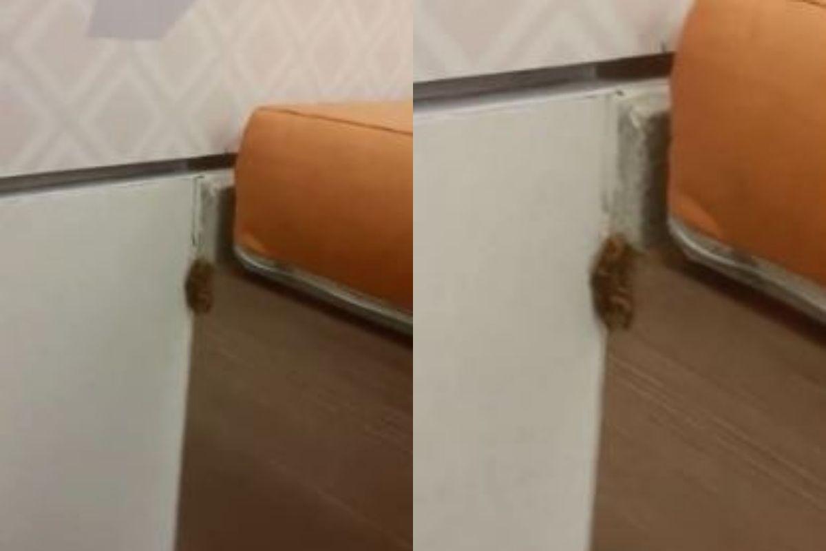 A família encontrou o escorpião no fraldário do hipermercado