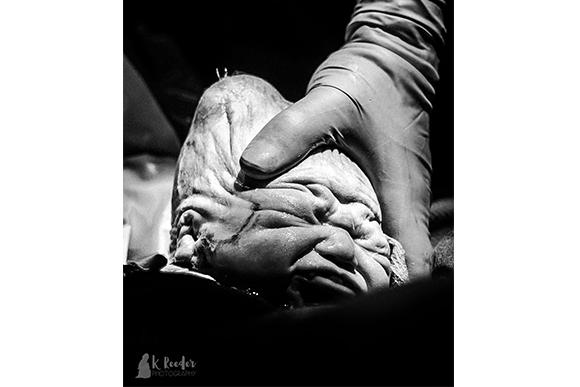 (Foto: Kayla Reeder)