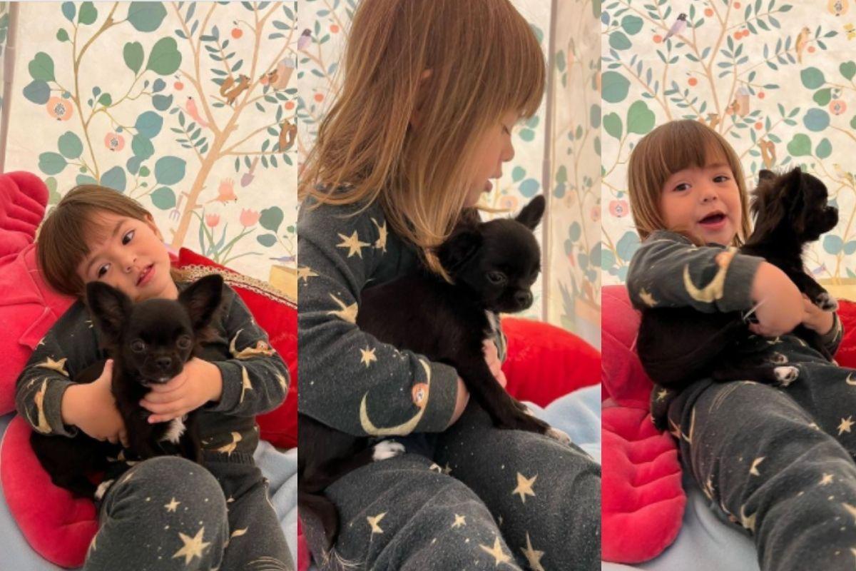 Zoe ganha um novo cachorro