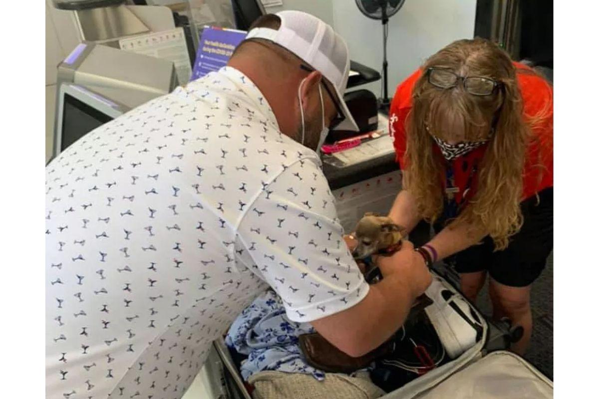 Casal descobre que cachorra da família estava escondida na mala após serem parados no aeroporto