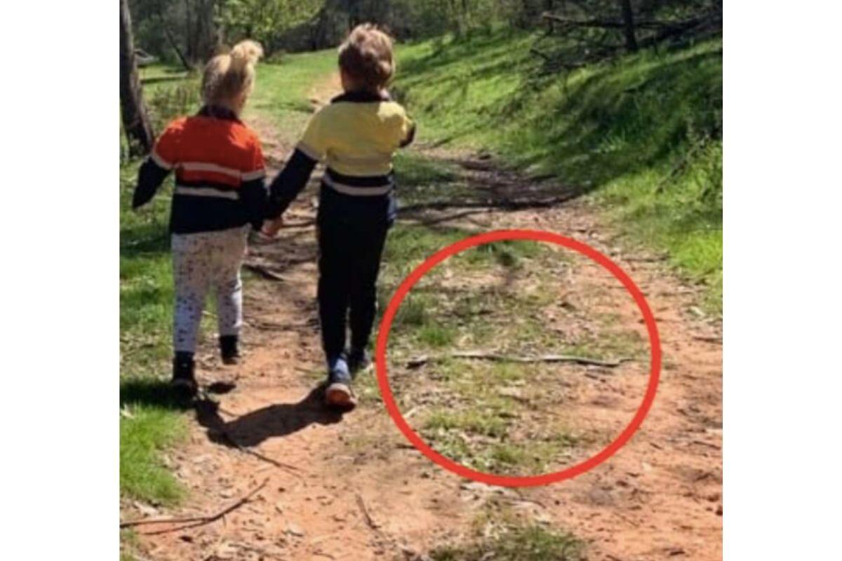 Mãe tira foto dos filhos ao lado de cobra venenosa sem perceber