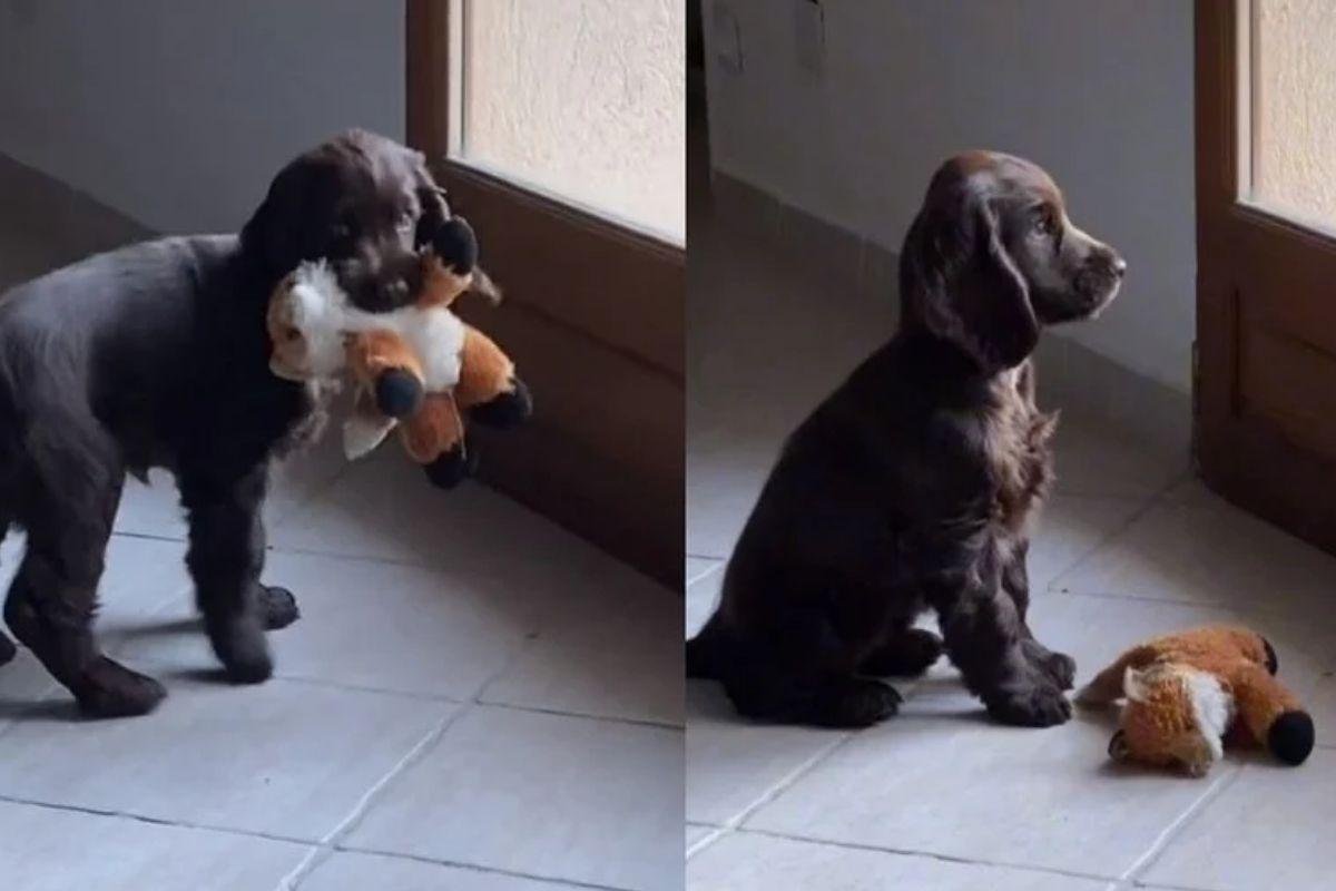 Salvador ficou triste ao ter a porta fechada em sua cara