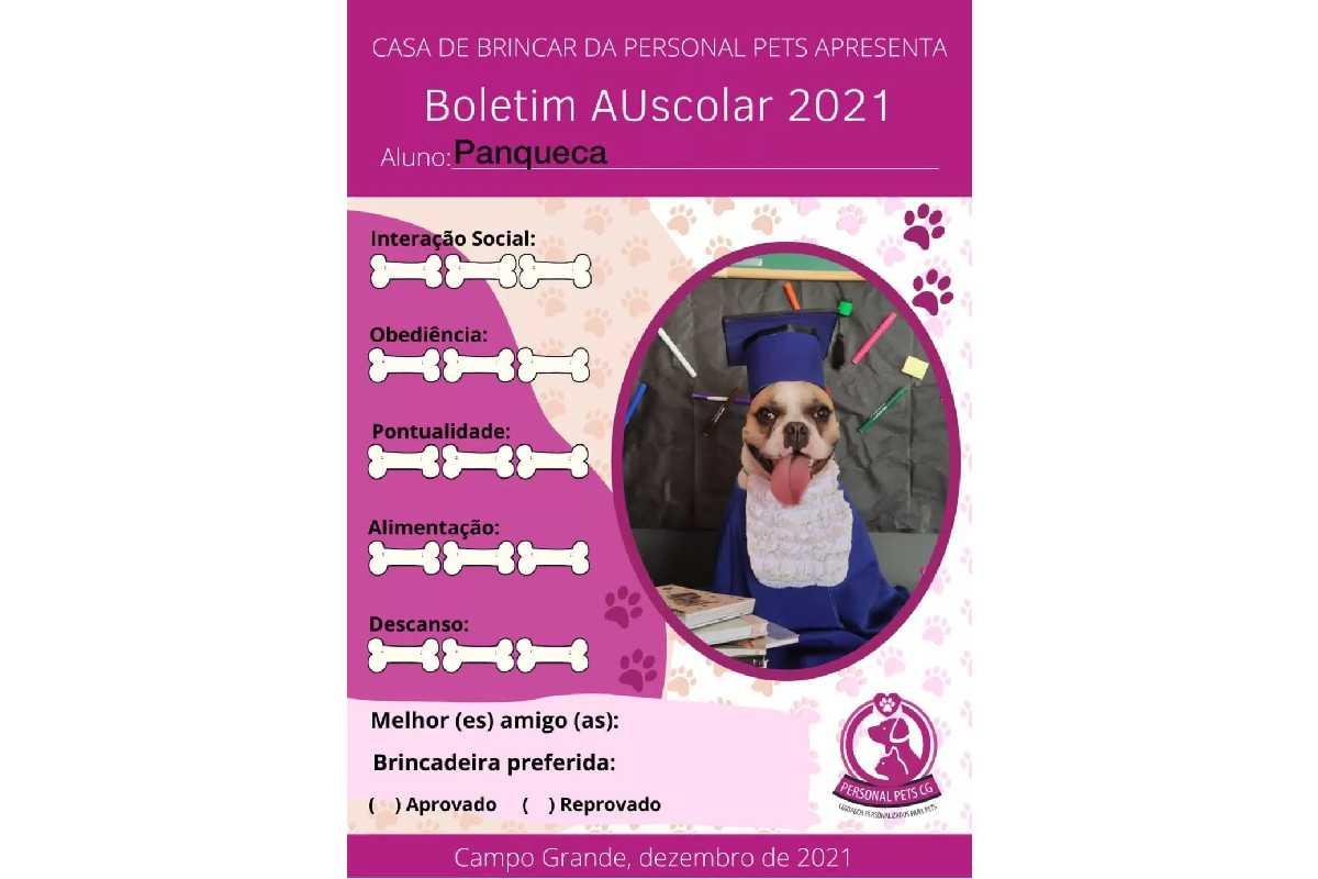 Os cachorros receberam boletins no ensaio fotográfico