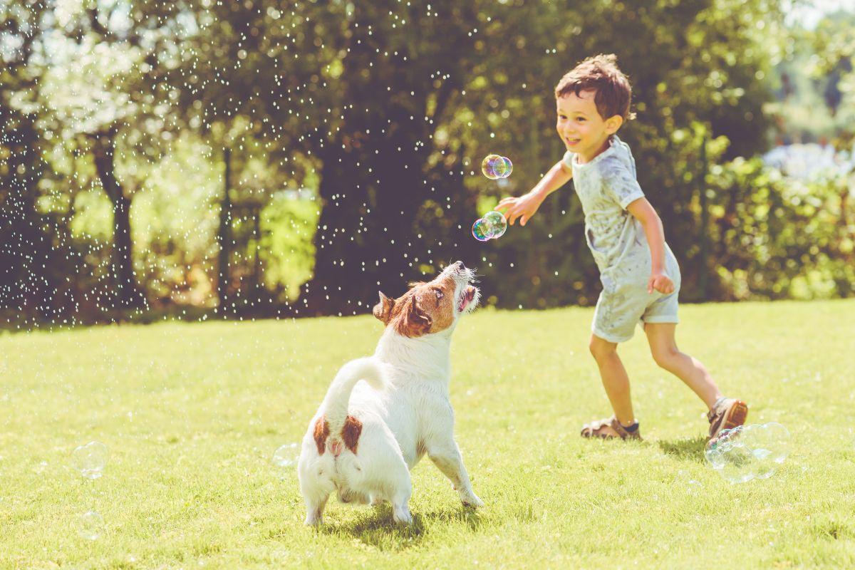 Veja 150 nomes para cachorro que vão dar vontade de ter um pet na família