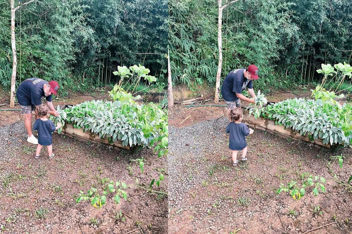 Bruno Gagliasso compartilhou fotos do filho caçula na primeira colheita