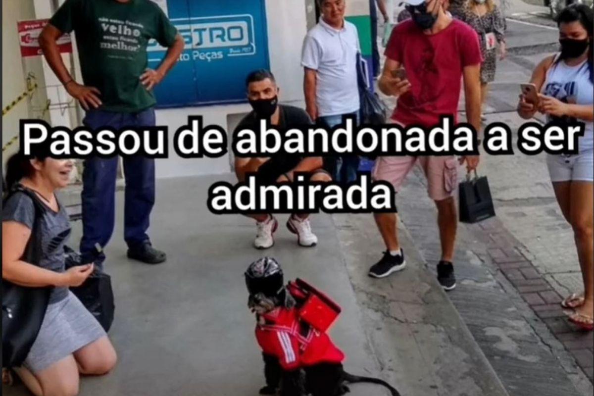 Hoje a cachorra faz sucesso nas redes sociais