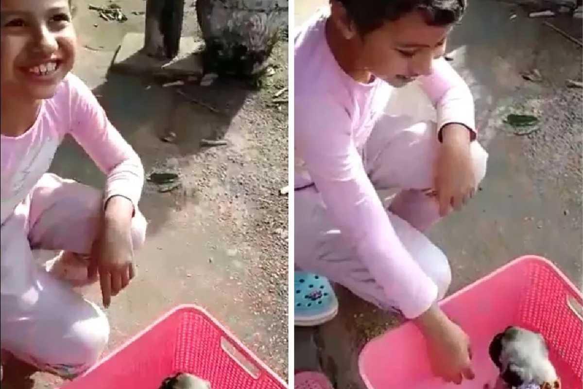 Menina de 9 anos se emociona e comemora ao ganhar cadela de presente depois de apresentar melhora na luta contra leucemia