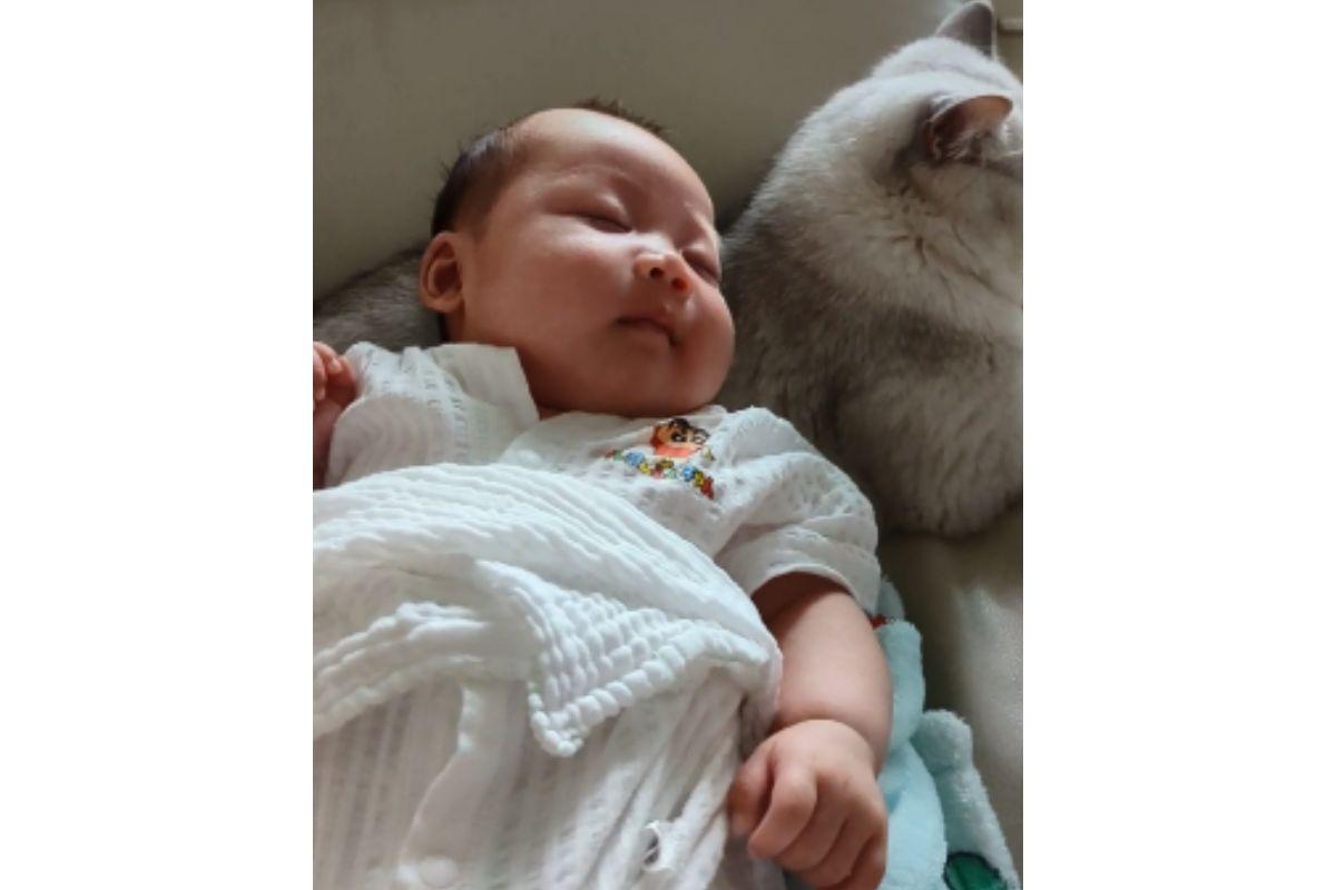 Bebê tranquilo após entrar em contato com o gato