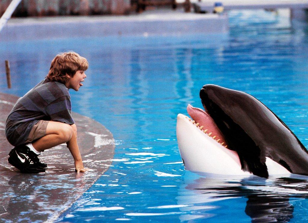 Free Willy (Foto: Reprodução / Everett Collection)