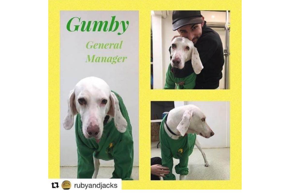 Gumpy sempre soube quem era a sua família