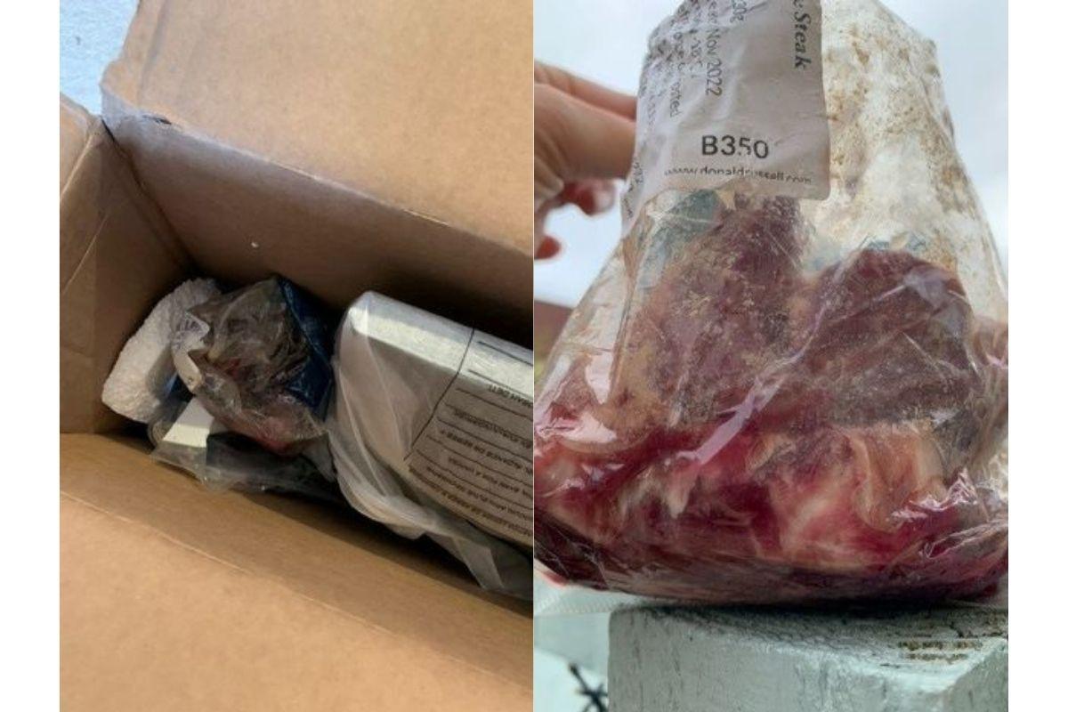O cachorro encontrou a carne podre dentro da caixa da televisão