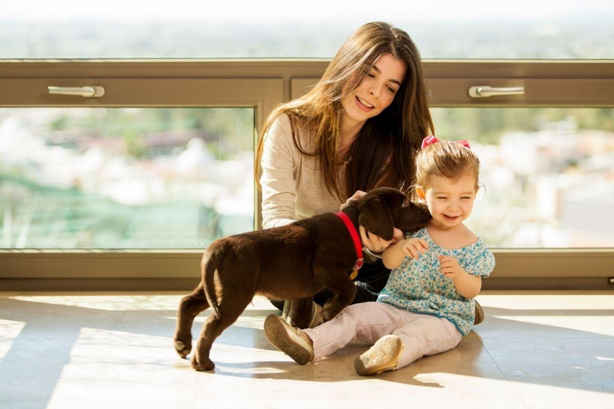 A mulher apareceu com um bebê em casa