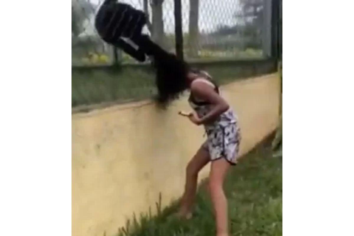 O macaco agarrou o cabelo da menina no zoológico