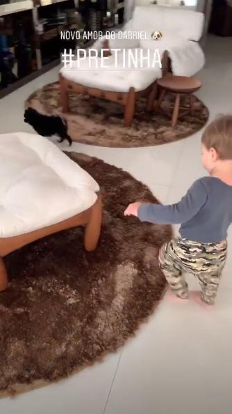 Gabriel brincando com a Pretinha, novo membro da família. (Foto: Reprodução / Instagram @andressuita)