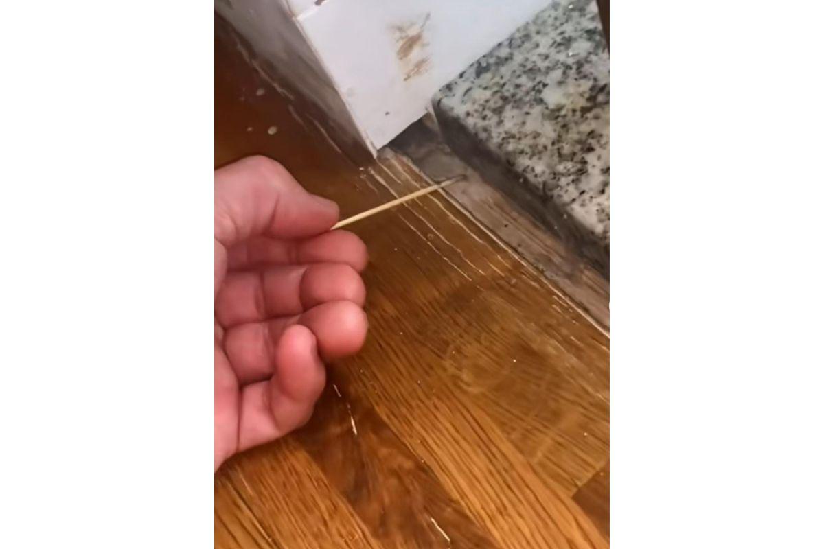 Scottie decidiu puxar a aranha com palito