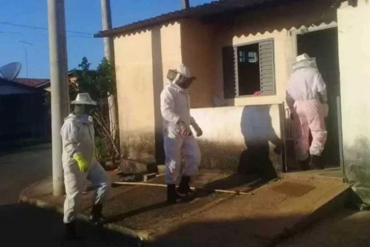 Mãe e filha são atacadas por um enxame de abelhas