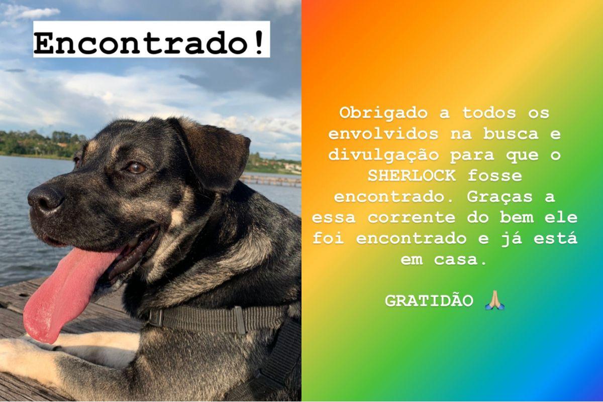 Publicação de Igor agradecendo à todos que ajudaram nas buscas pelo cão