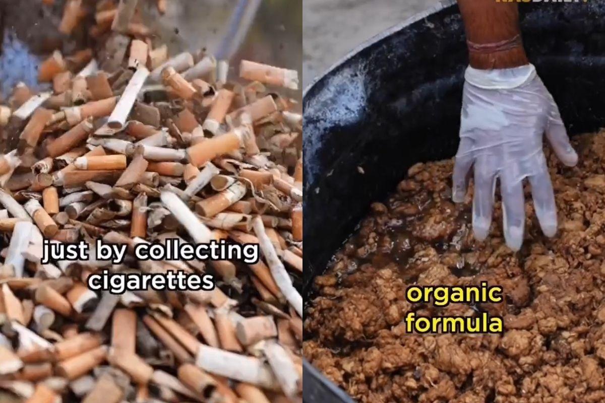 O indiano criou uma fórmula orgânica para converter bituca de cigarro em algodão