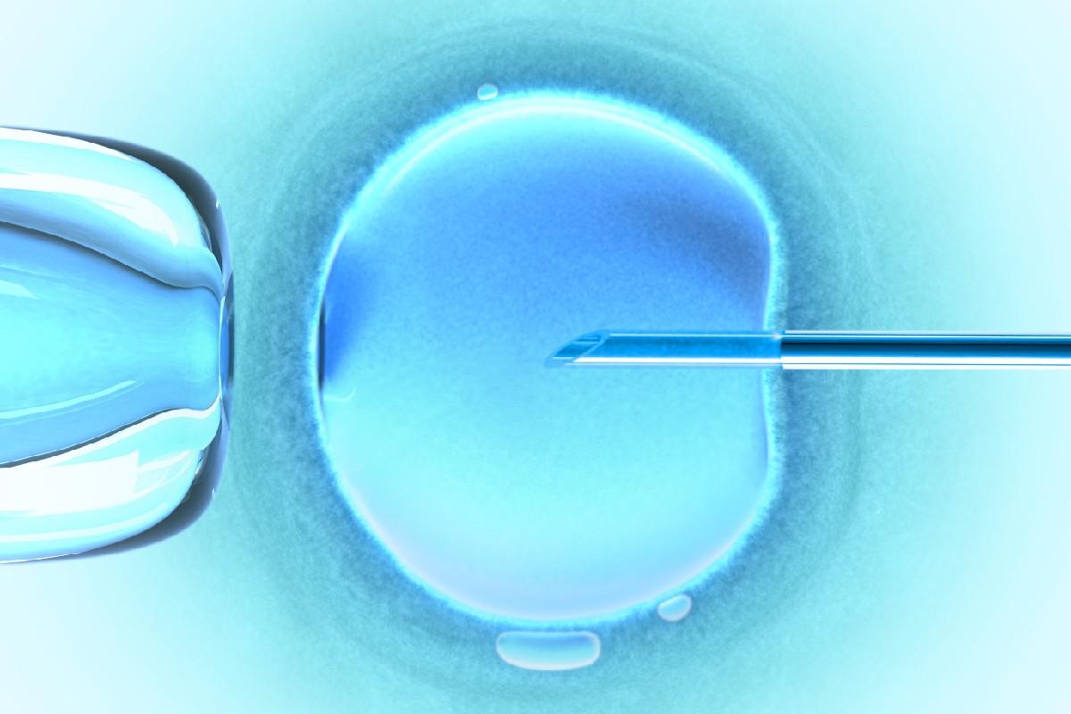 Paolla realizou congelamento de óvulos