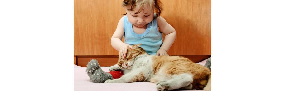 Animais são muito importantes para o crescimento dos seus filhos (iStock)