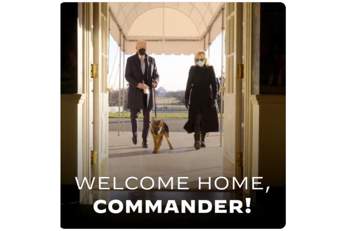 Joe e Jill Biden aparecem junto com o filhote de pastor alemão