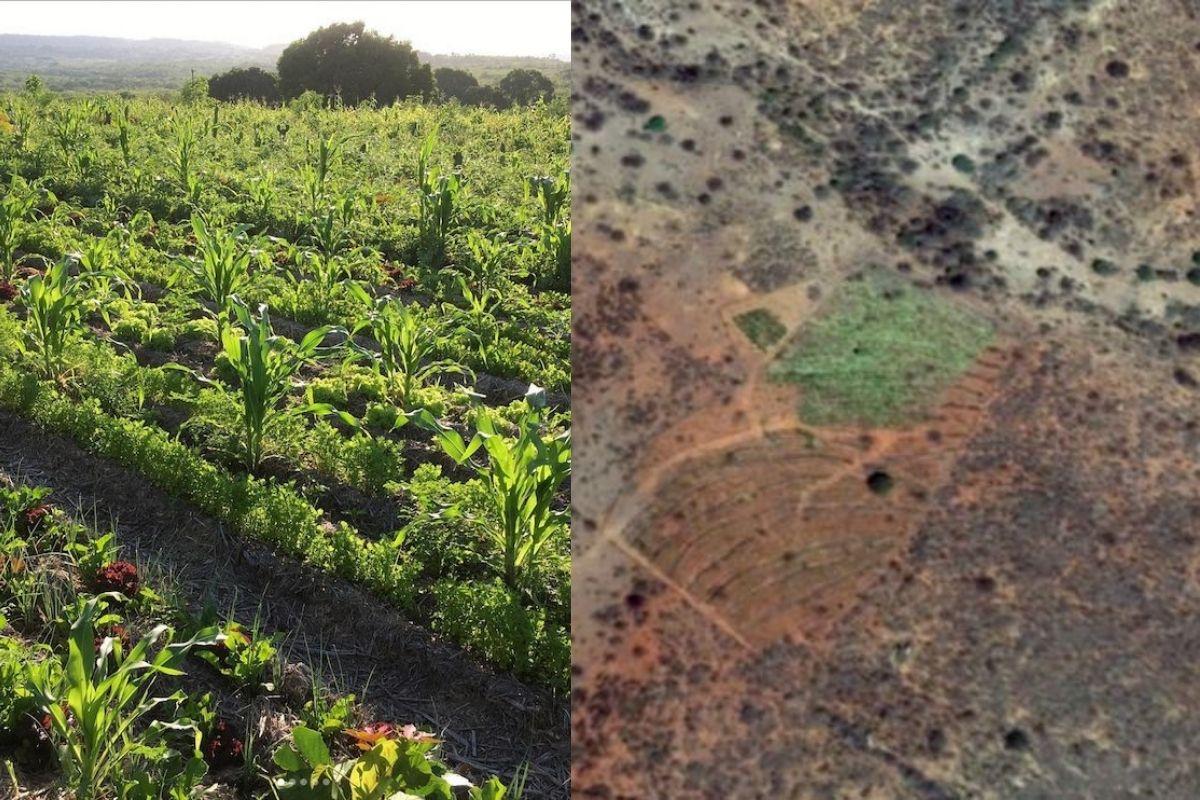 A região se destaca pelo verde no meio do deserto