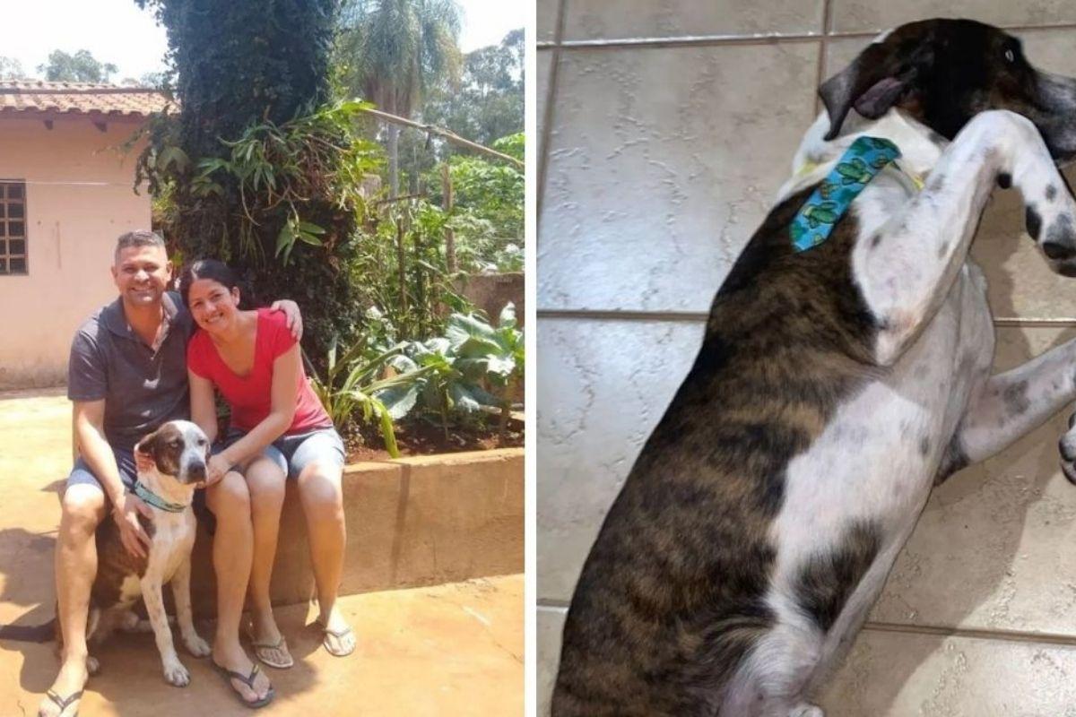 Pepito reencontrou a família!