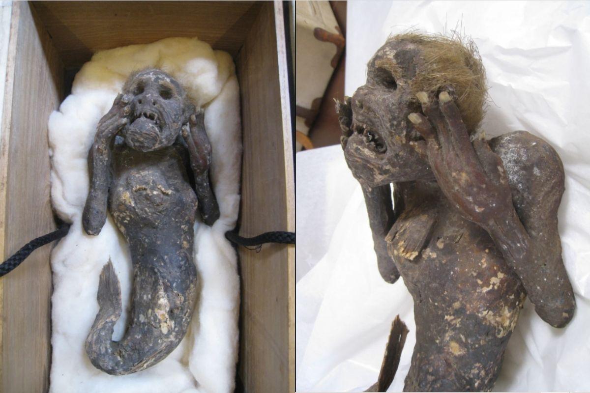 "Monstro" mumificado é encontrado no Japão