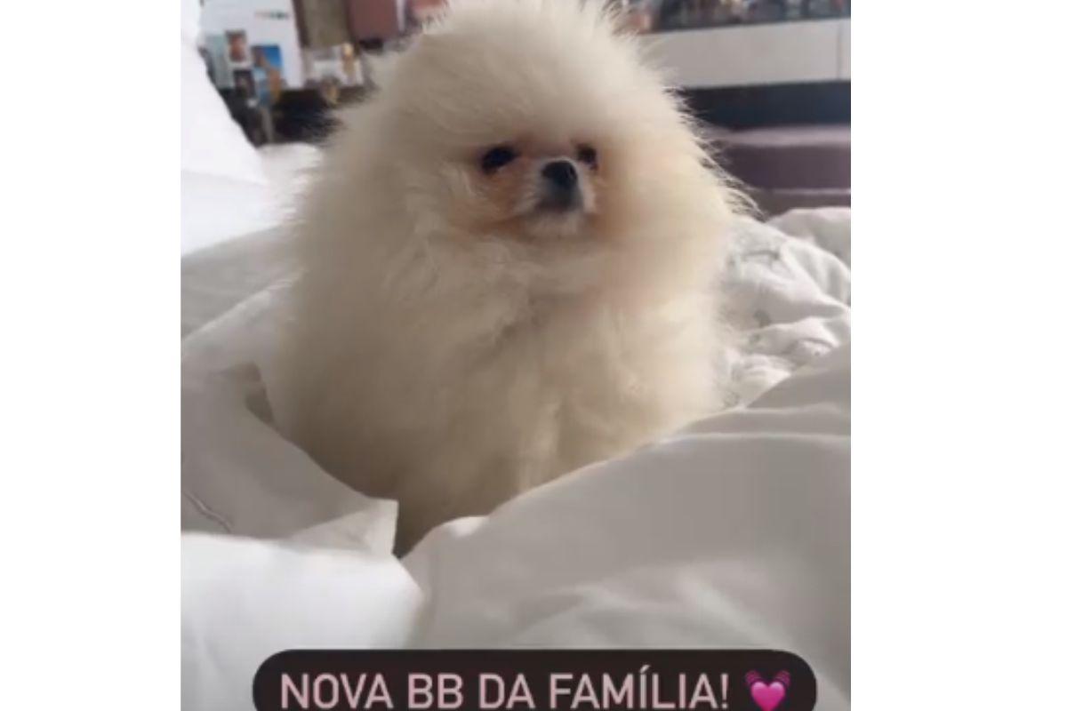 Rafaella mostra nova integrante da família