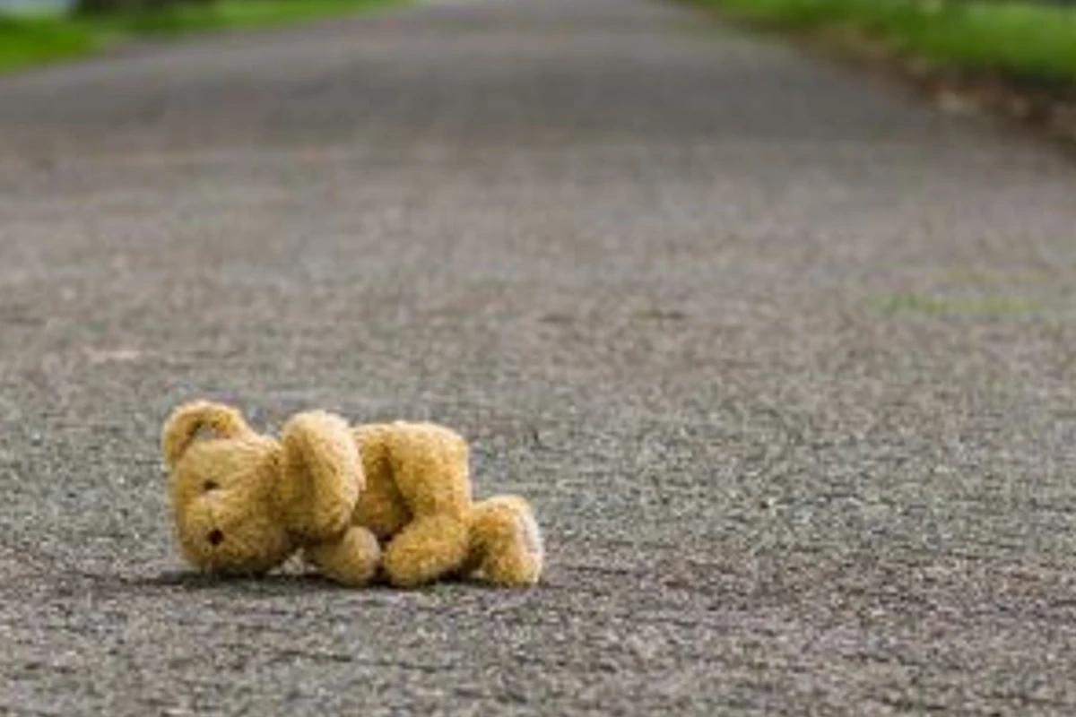 Urso caido na rua