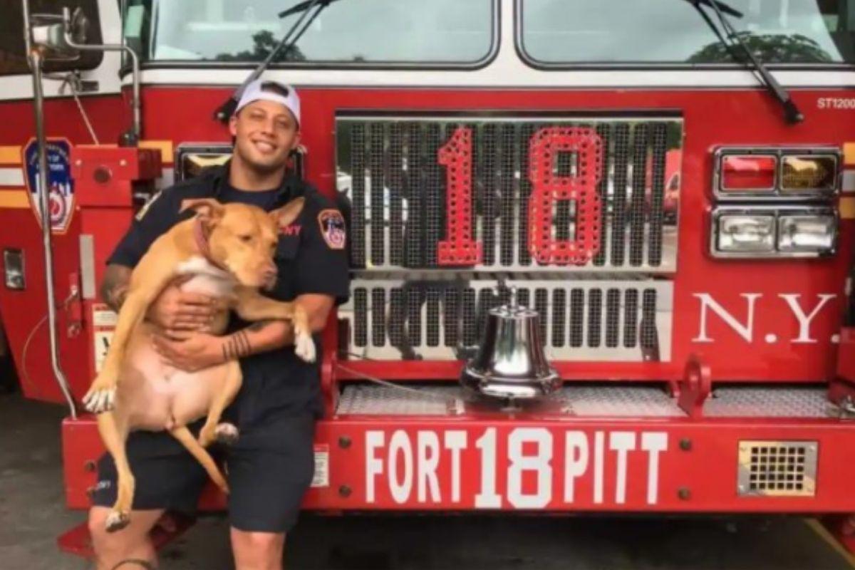 Cachorra é adotada pela equipe do Corpo de Bombeiros