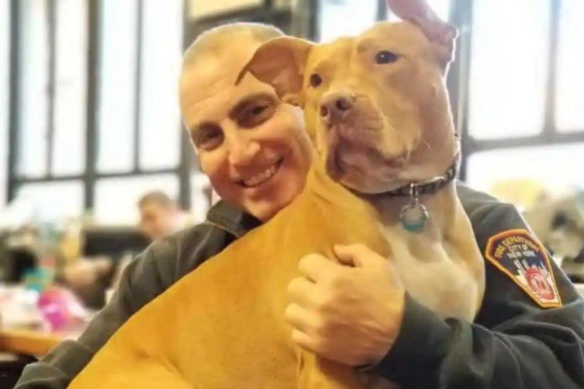 Cachorra é adotada pela equipe do Corpo de Bombeiros