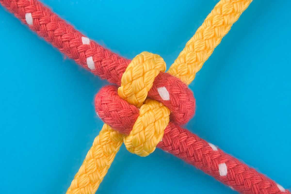 Apresentar um mundo diverso para os filhos é essencial