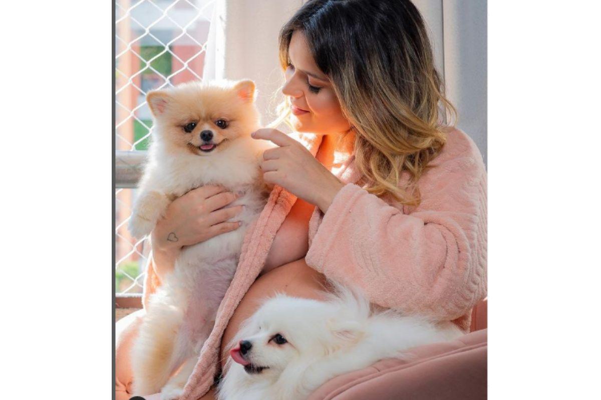 Viih Tube com os pets