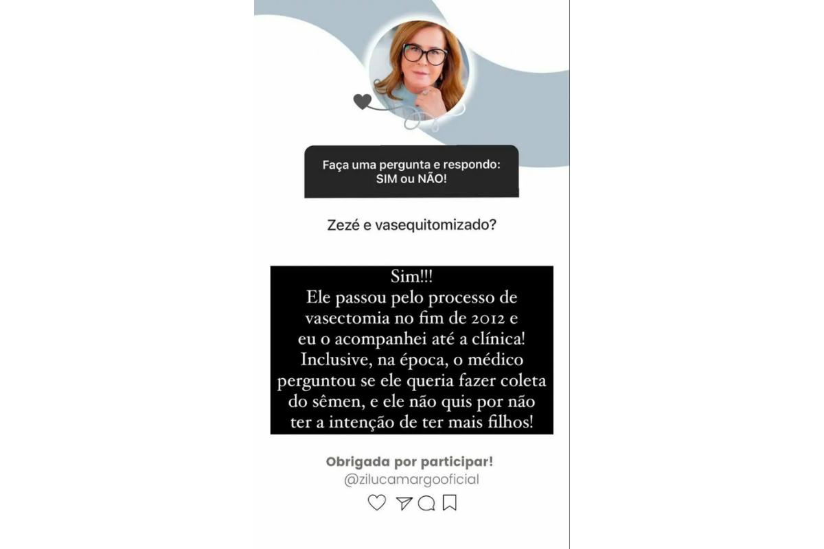 Zilú Godoi comentou sobre o tratamento do ex-marido