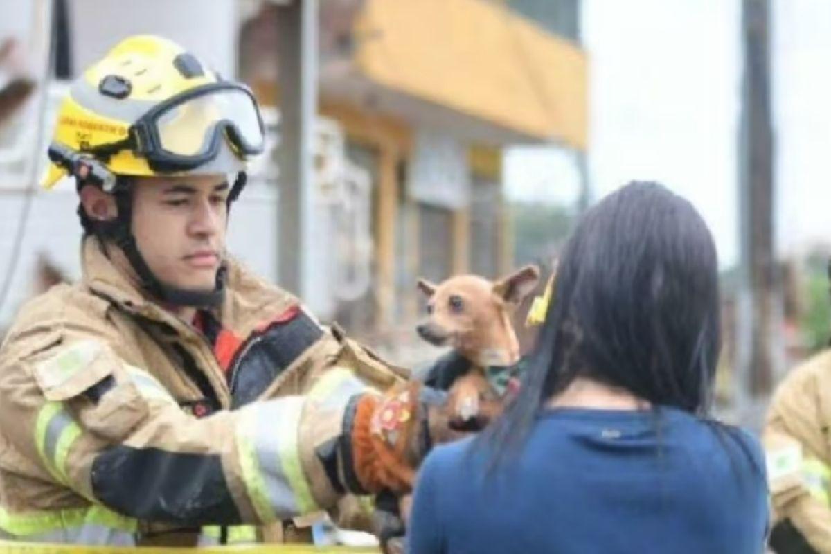 Cachorro é resgatado após prédio cair em Taguatinga