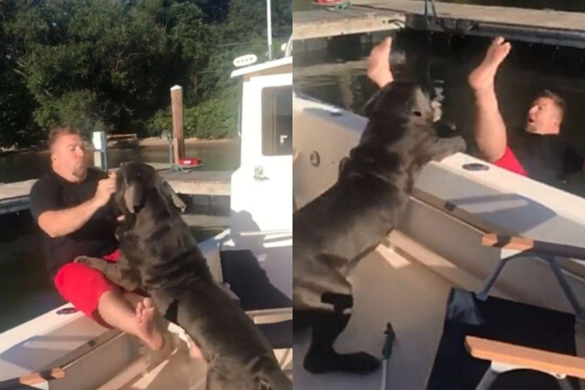 Cachorro derruba o dono do iate após tentar pegar petisco