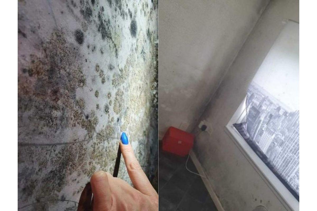 Os mofos se alastraram por toda o apartamento